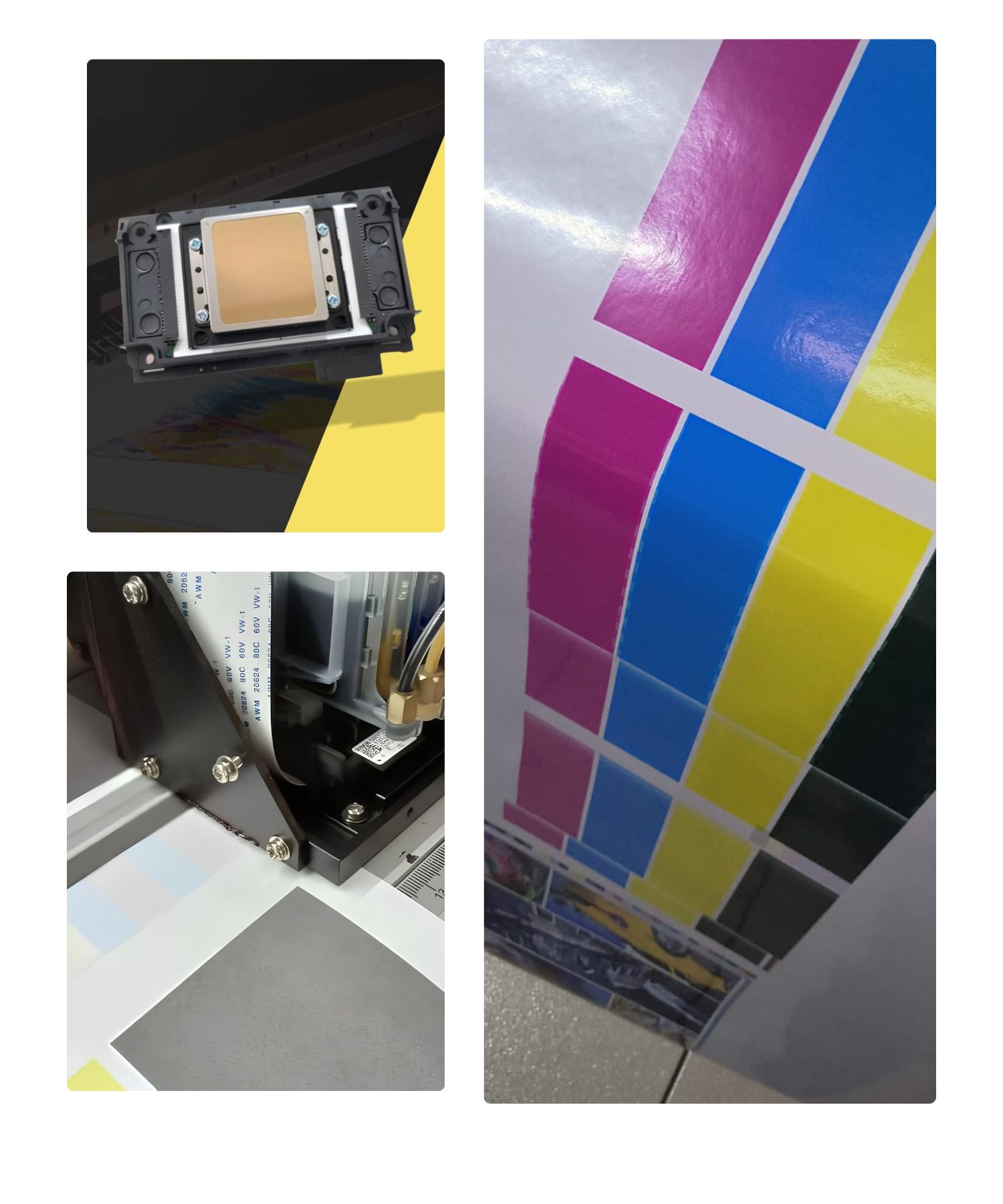 Cabeça XP600 Técnico no Local